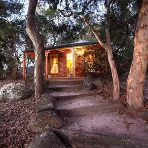  Lodge Honeysuckle